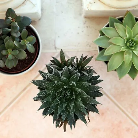 Giulia&gaia - 3* Nardò