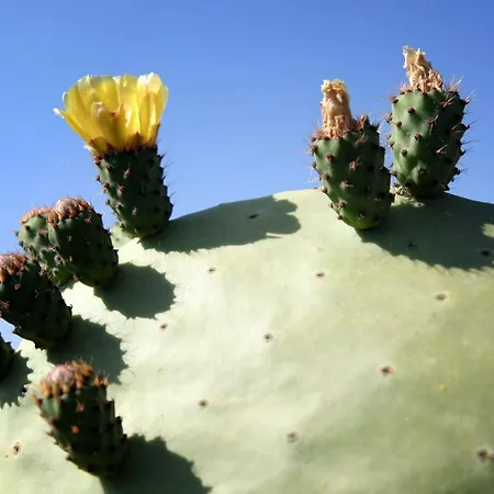 Giulia&gaia - 3* ナルド