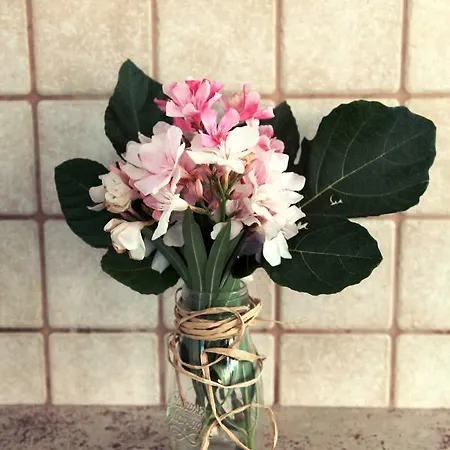 Giulia&gaia - ゲストハウス