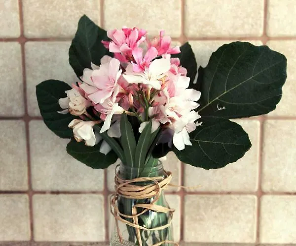 Giulia&gaia - بيت ضيافة